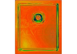 Alveus Monarch Quadrix 20 bronz